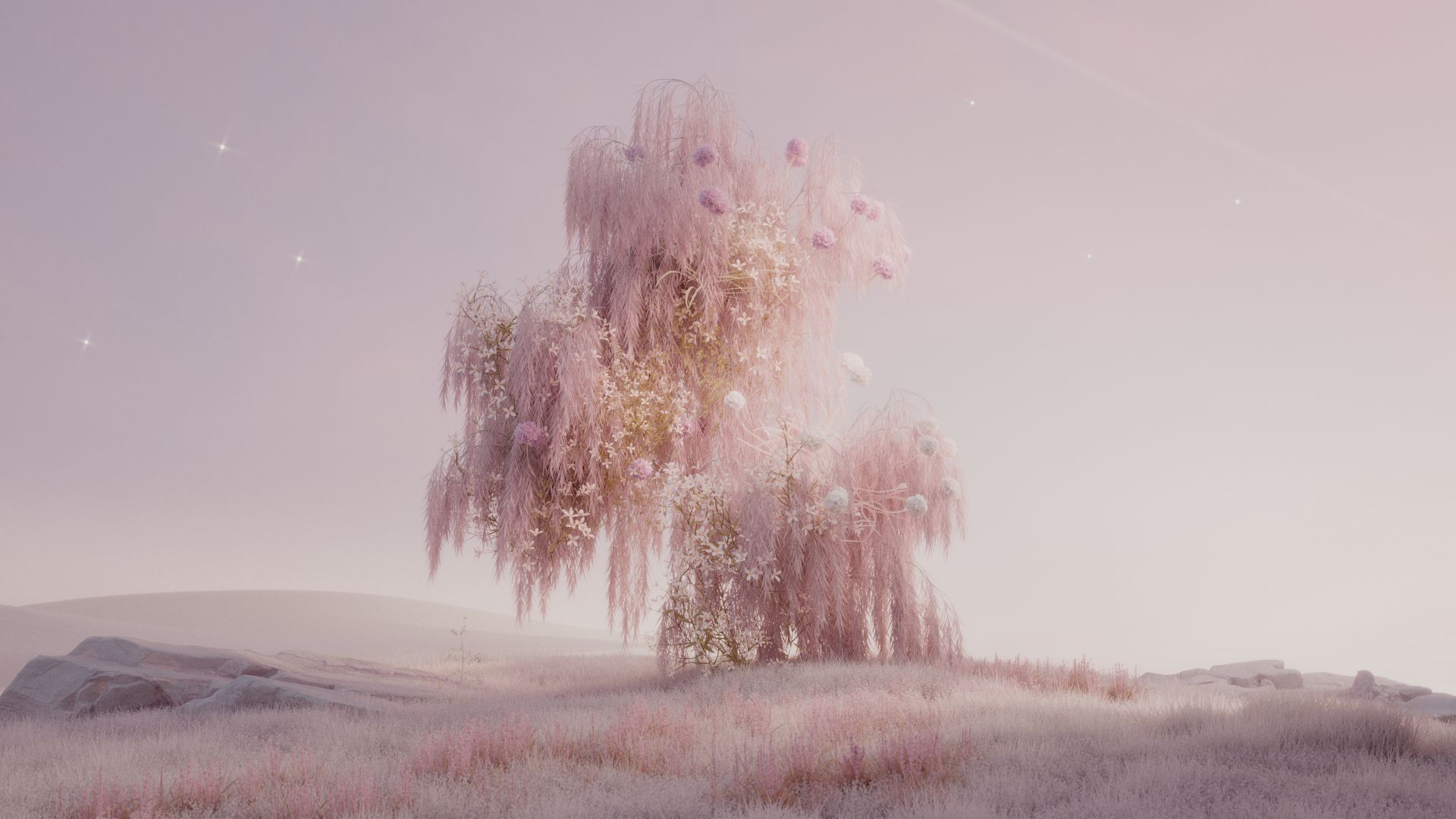 Dior Garden — style frame 02